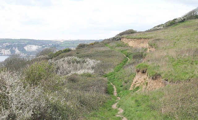 Photo of coastal cliffs with chalk cliffs in the background