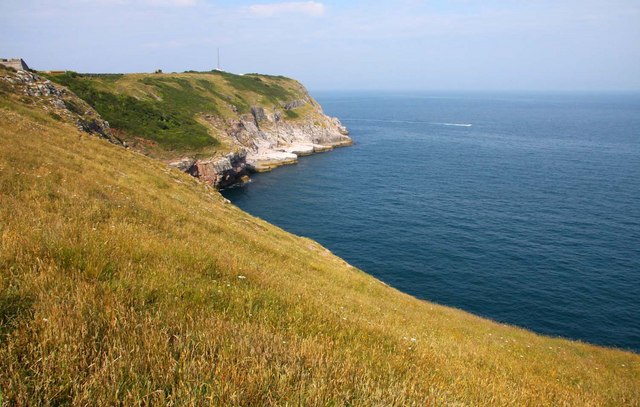 Photo of grassy fields down to coastal cliffs and the sea at Berry Head