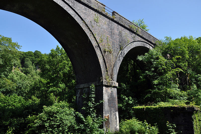 Photo of Cann Viaduct from below