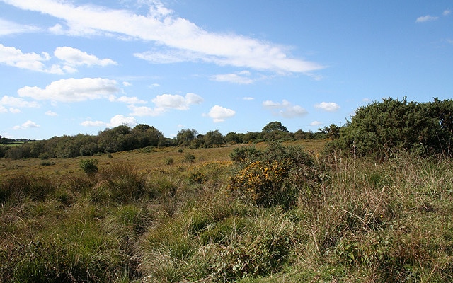 Photo of moorland at Knowstone Moor