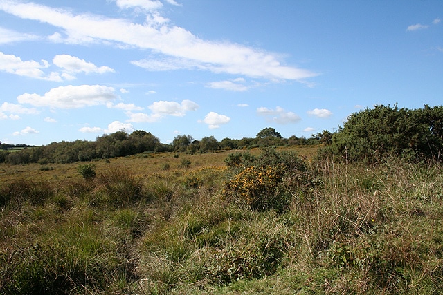 Photo of moorland at Knowstone Moor