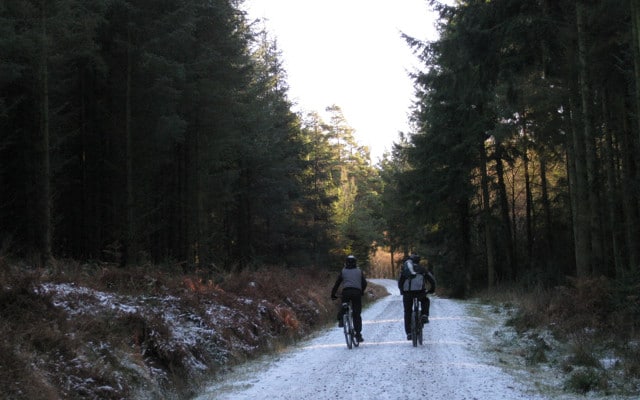 Photo of two people mountain biking along a forest track in the snow at Haldon Forest Park