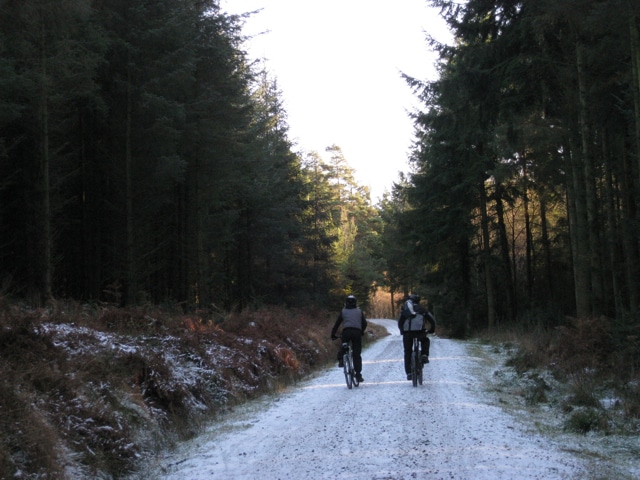 Photo of two people mountain biking along a forest track in the snow at Haldon Forest Park