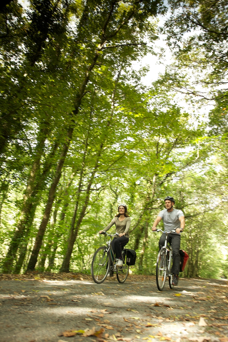 Photo of cyclists on a trail through woodlands