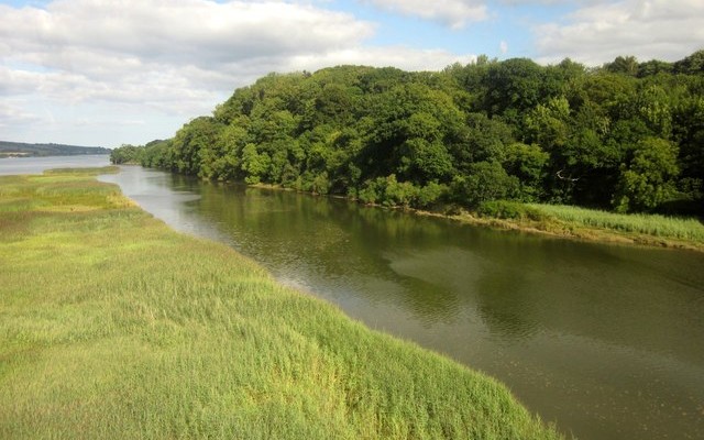 Photo of marsh alongside the river Teign