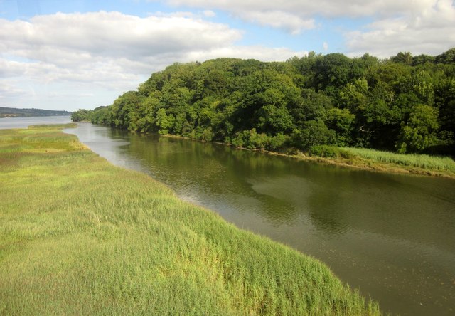 Photo of marsh alongside the river Teign