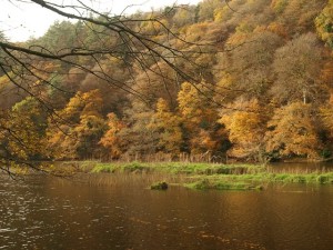 Tamar Valley Discovery Trail Copyright Derek Harper Licenced for further use see geograph.org .uk