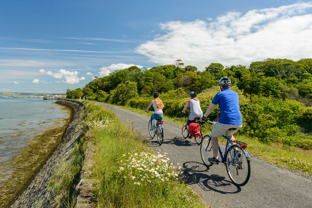 Photo of cyclists on the Tarka Trail alongside the estuary at Instow