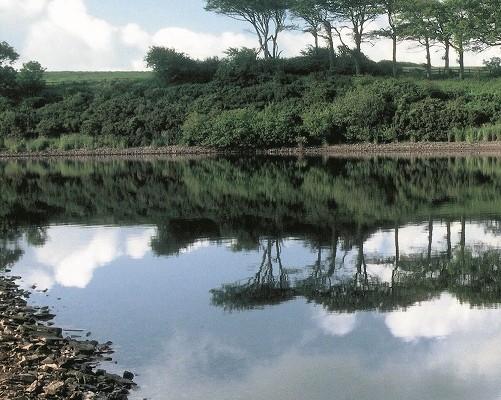 Photo across the river Tamar ro fields and woodland