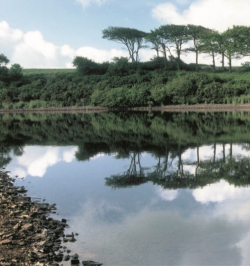 Photo across the river Tamar ro fields and woodland