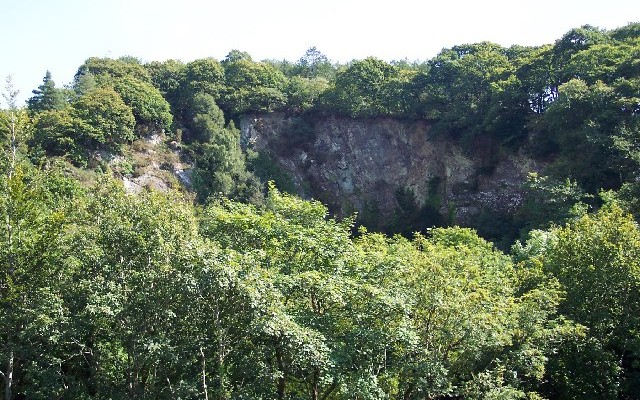 Photo of trees surrounding an old quarry at Cann