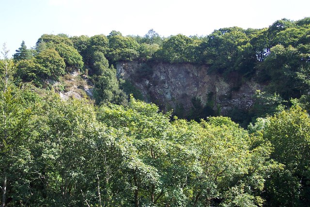 Photo of trees surrounding an old quarry at Cann