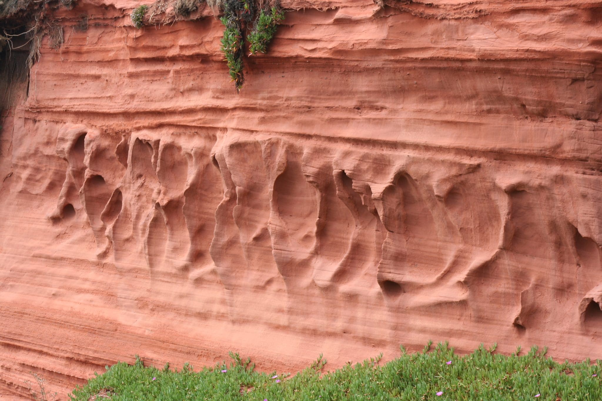 Close up photo of red sandstone cliffs at Dawlish