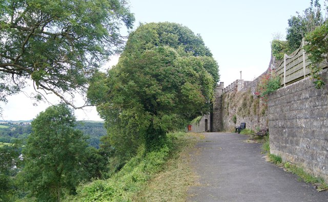 Photo of trees and wall looking towards Great Torrington