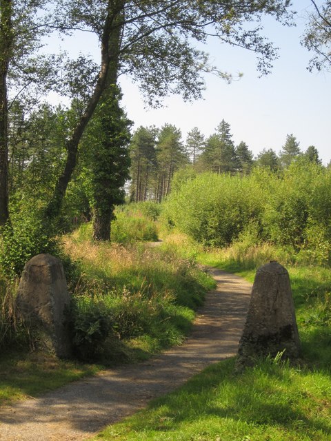 Photo of two stones marking the edge of a path through woodland and scrub at Haldon Forest Park