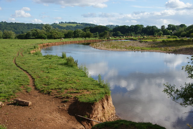 Photo of the river Exe through fields of cows at Brampford Speke