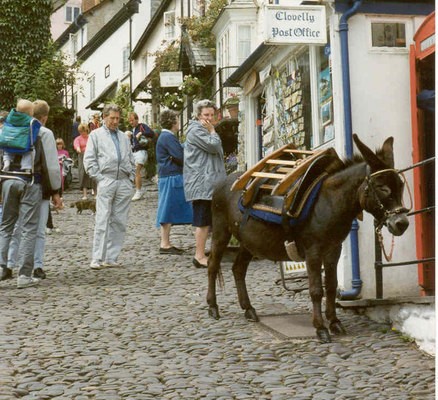 Photo of a donkey tied up outside a shop in Clovelly high street