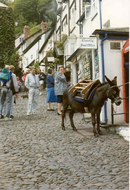 Photo of a donkey tied up outside a shop in Clovelly high street