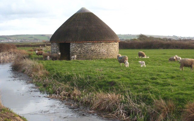 Photo of an old stone and thatched barn in a field of sheep at Braunton Great Field