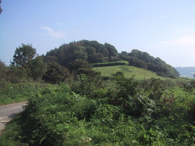 Photo of the view towards Sidbury Castle of fields and woodlands on a hill