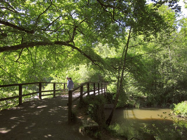 Photo of a bridge in woodland on the Stover Heritage Trail