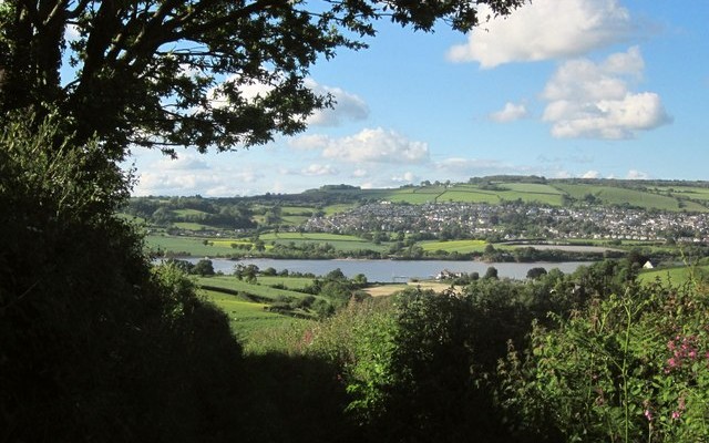 Photo of the Teign estuary taken through trees