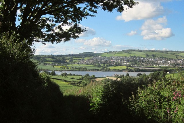 Photo of the Teign estuary taken through trees