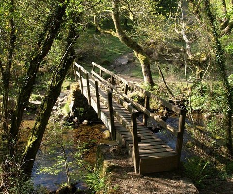 Photo of a wooden bridge over a small stream at Belstone Cleave