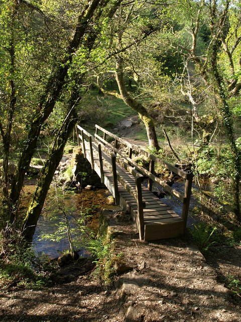 Photo of a wooden bridge over a small stream at Belstone Cleave