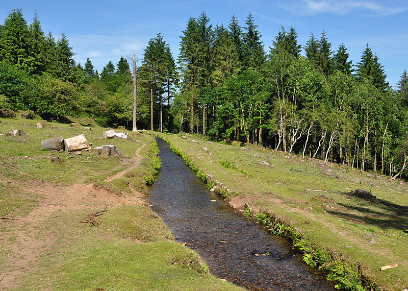 Photo of Devonport leat running through heathland and woodland