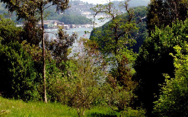 Photo looking down to the Dart estuary with Dartmouth in the background, from Greenway House gardens