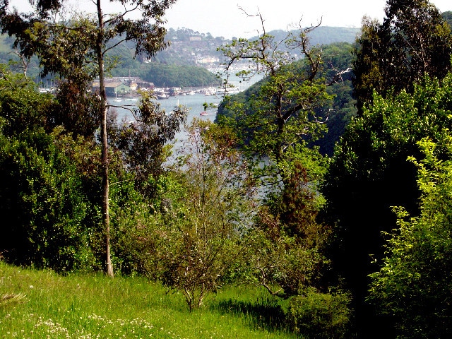 Photo looking down to the Dart estuary with Dartmouth in the background, from Greenway House gardens