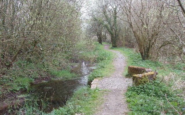 Photo of a section of Bude canal lined with trees