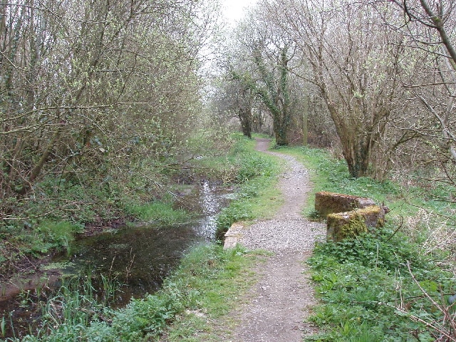 Photo of a section of Bude canal lined with trees