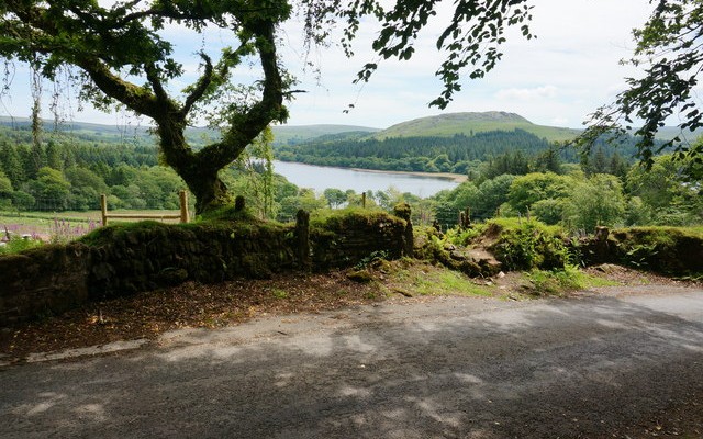 Photo of a view across a country lane to Burrator Reservoir in the distance