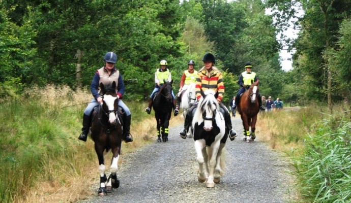 Photo of a group of horse riders on a multi use trail at Cookworthy Forest