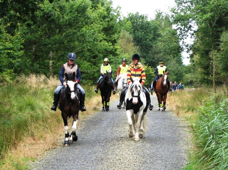 Photo of a group of horse riders on a multi use trail at Cookworthy Forest