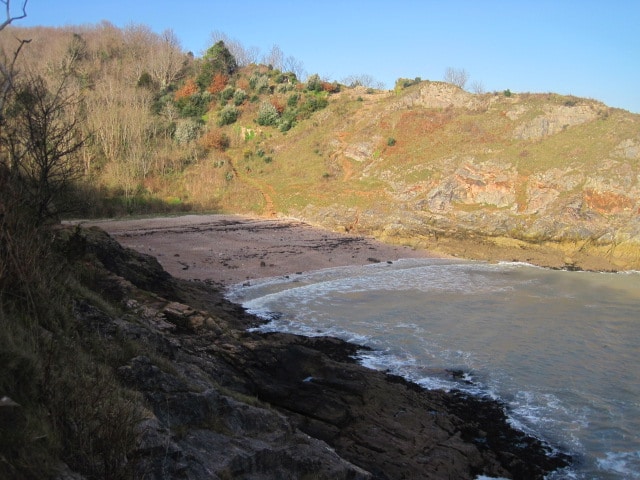 Photo of beach, sea nd coast at Churston Cove near Brixham from the South West Coast path