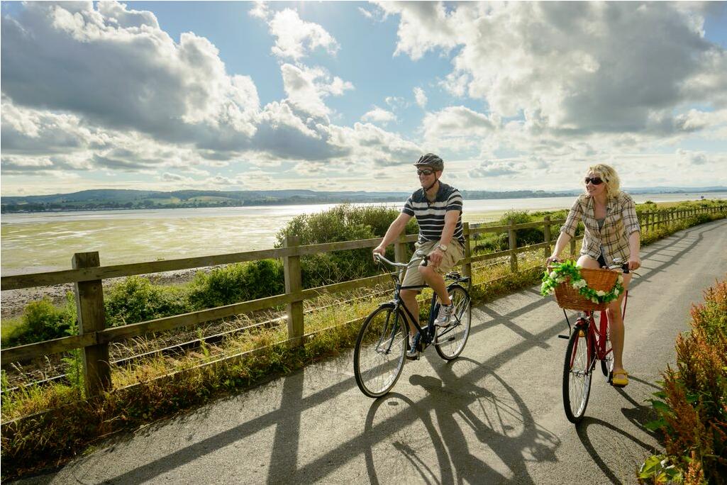 Photo of cyclists on the Exe Estuary Trail