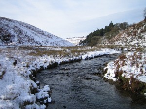 exmoors-barle-valley-copyright-rupert-fleetingly