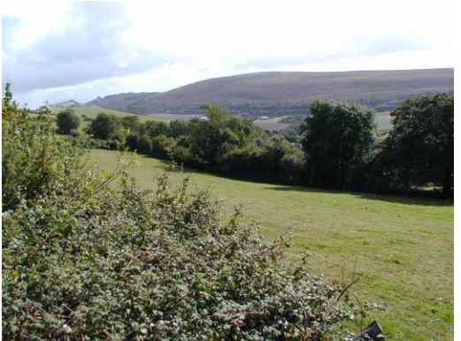 Photo of fields, woods and hills at Codden Hill near Barnstaple