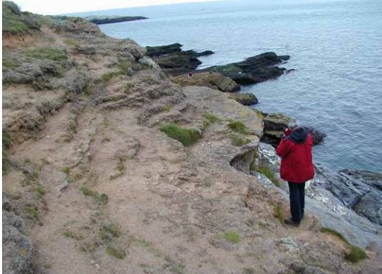 Photo of the sea and cliffs at Hope's Nose Torquay