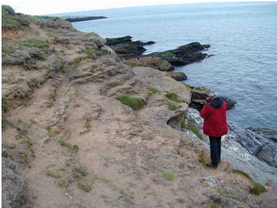 Photo of the sea and cliffs at Hope's Nose Torquay