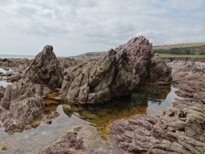 Blackstone Rocks and rock pools, WemburyCopyright Debbie J http://www.geograph.org.uk/photo/4105561