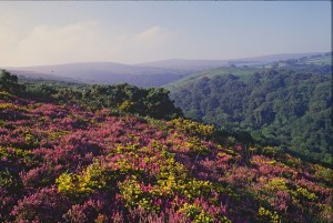 Horner Holnicote Copyright Natural England Peter Wakely