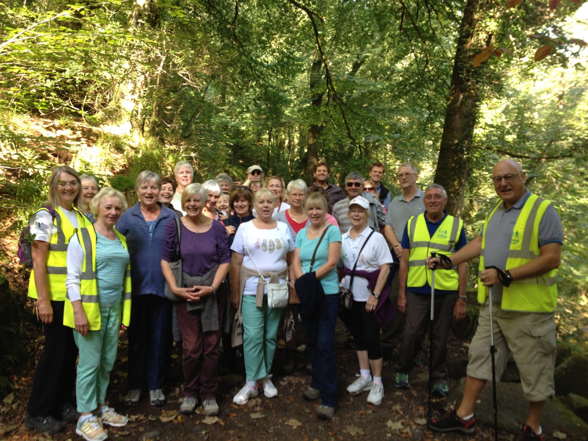 Photo of walkers in a forest as part of the Connecting Actively to Nature programme