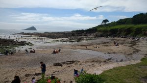 Wembury June Copyright Mabel Harris