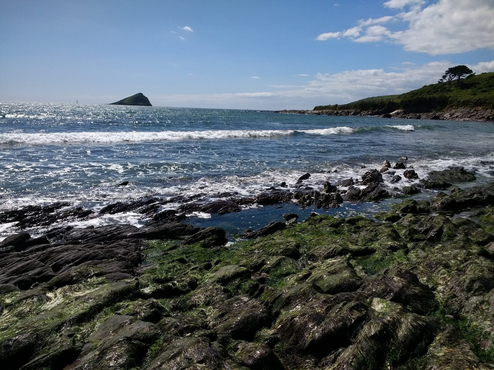 Photo of the Mewstone from Wembury beach in May