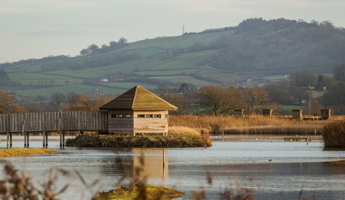 Photo of the bird hide at Seaton Wetlands