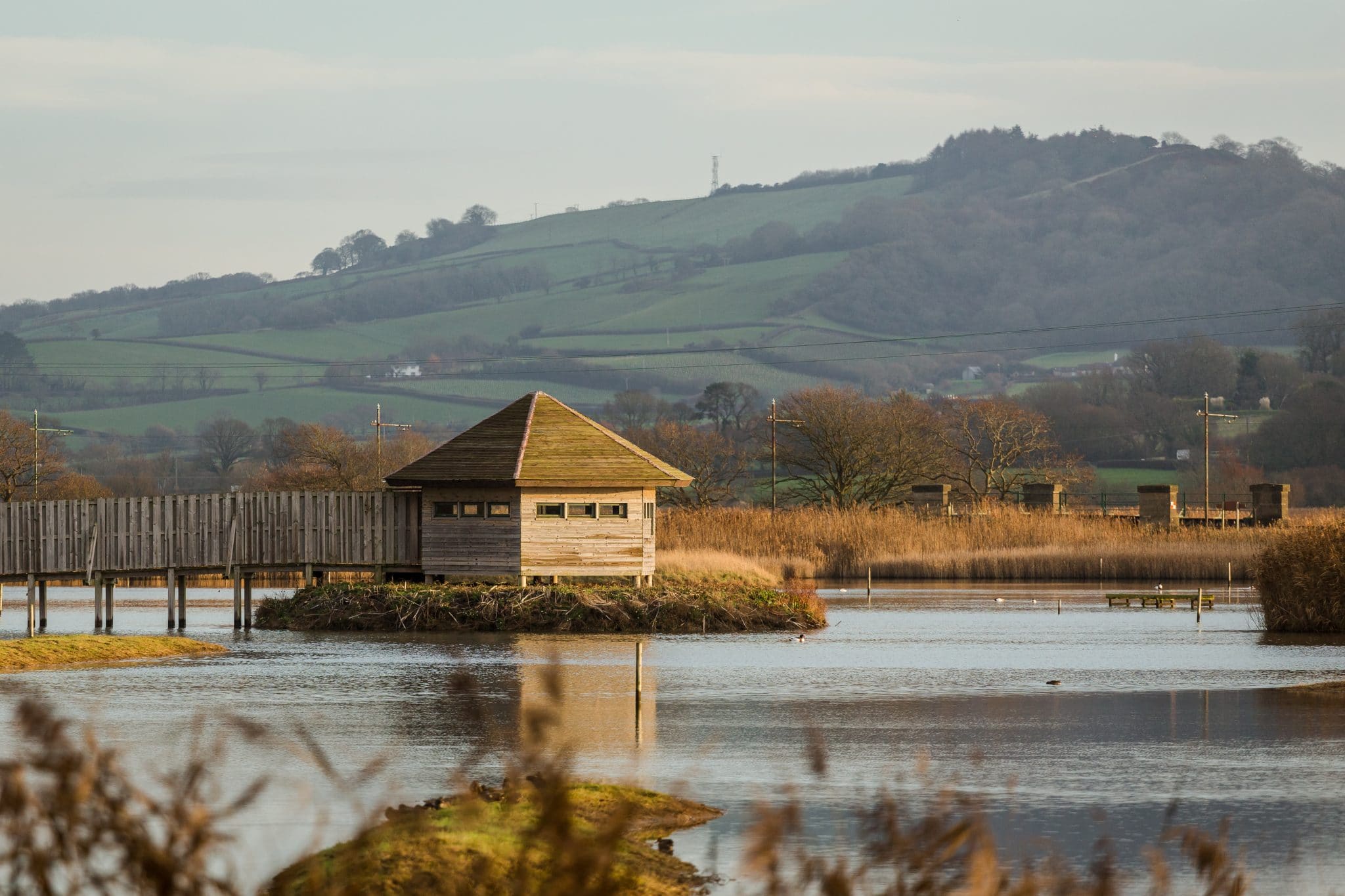 Photo of the bird hide at Seaton Wetlands